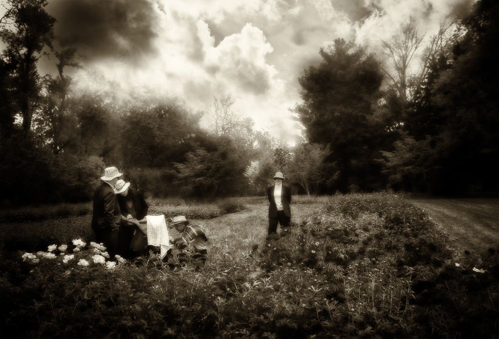 An imagined Reality