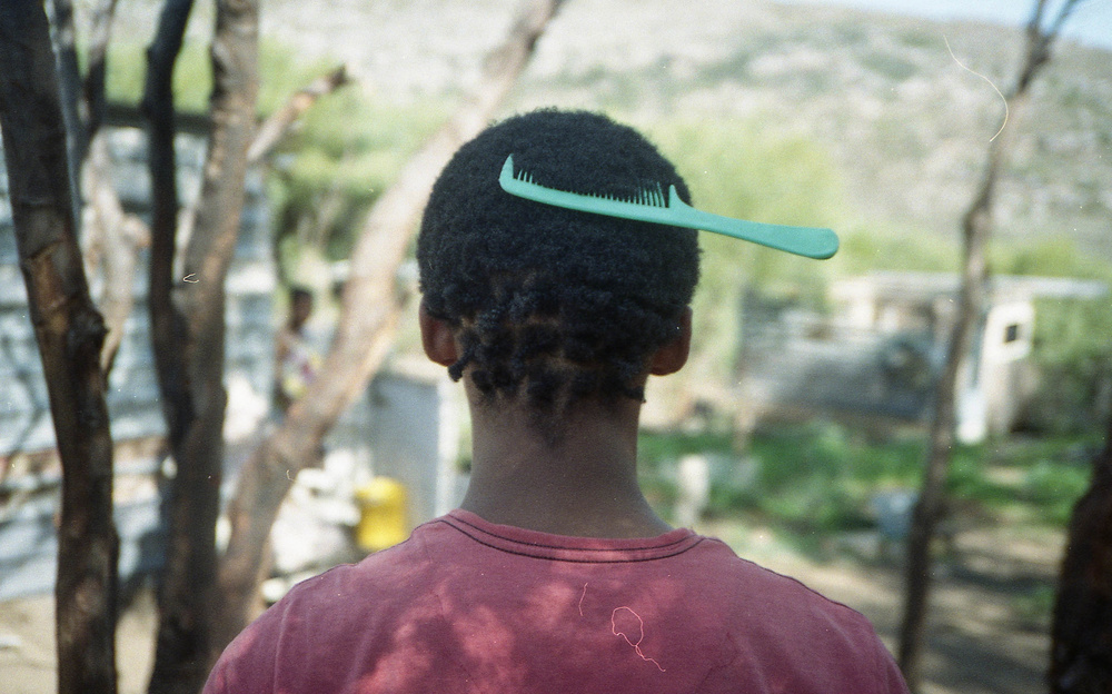 Modern Rasta Bush Doctors