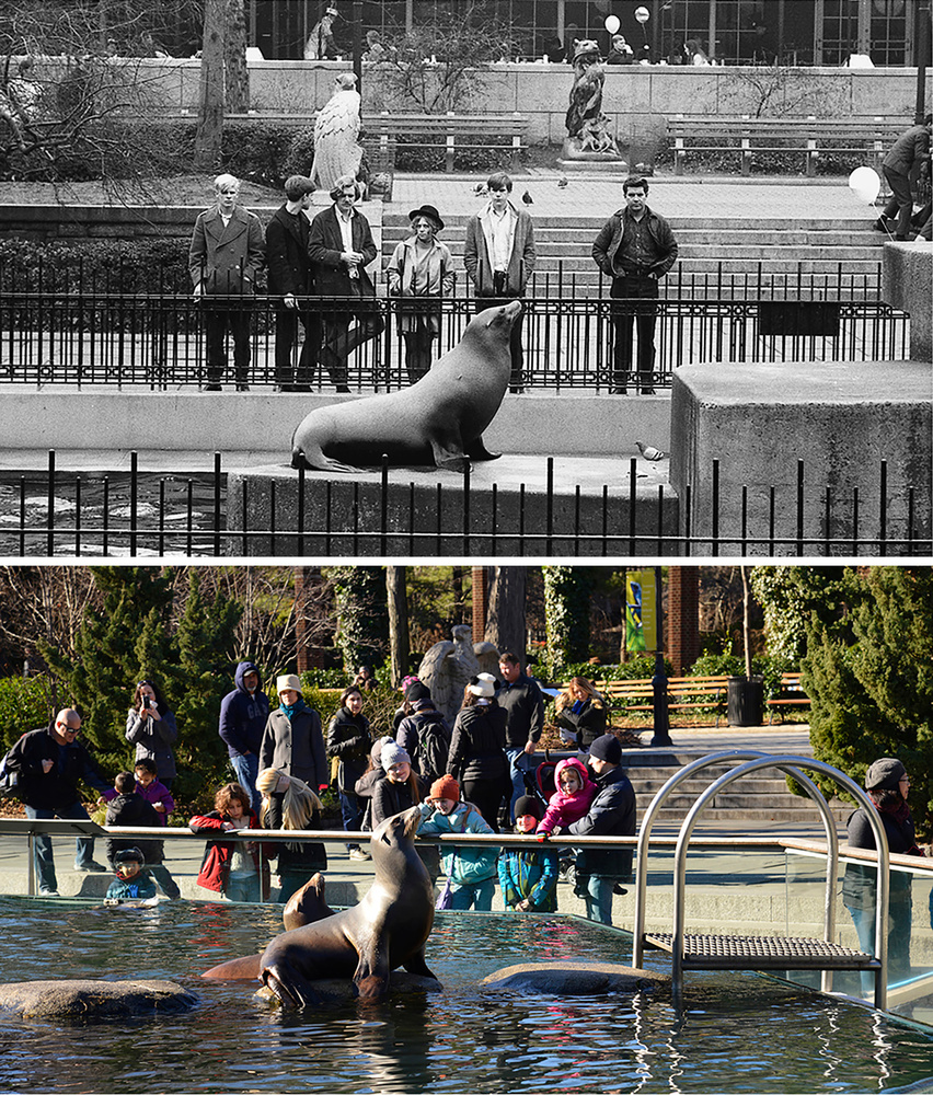 Cityscapes: Then and Now