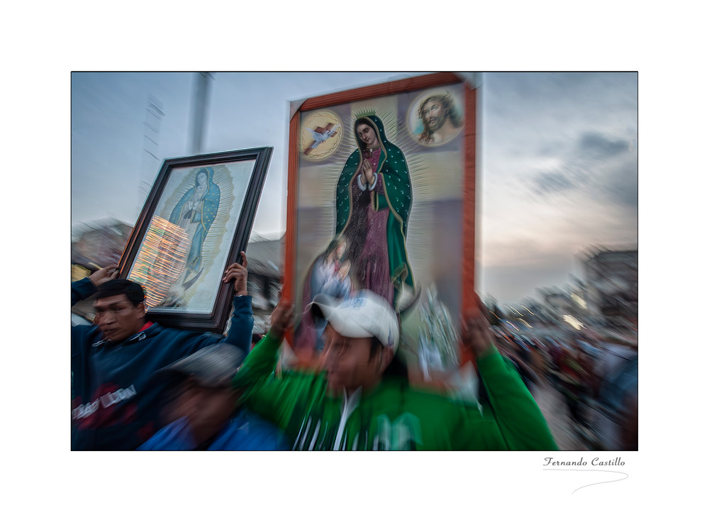 Fervor Guadalupano