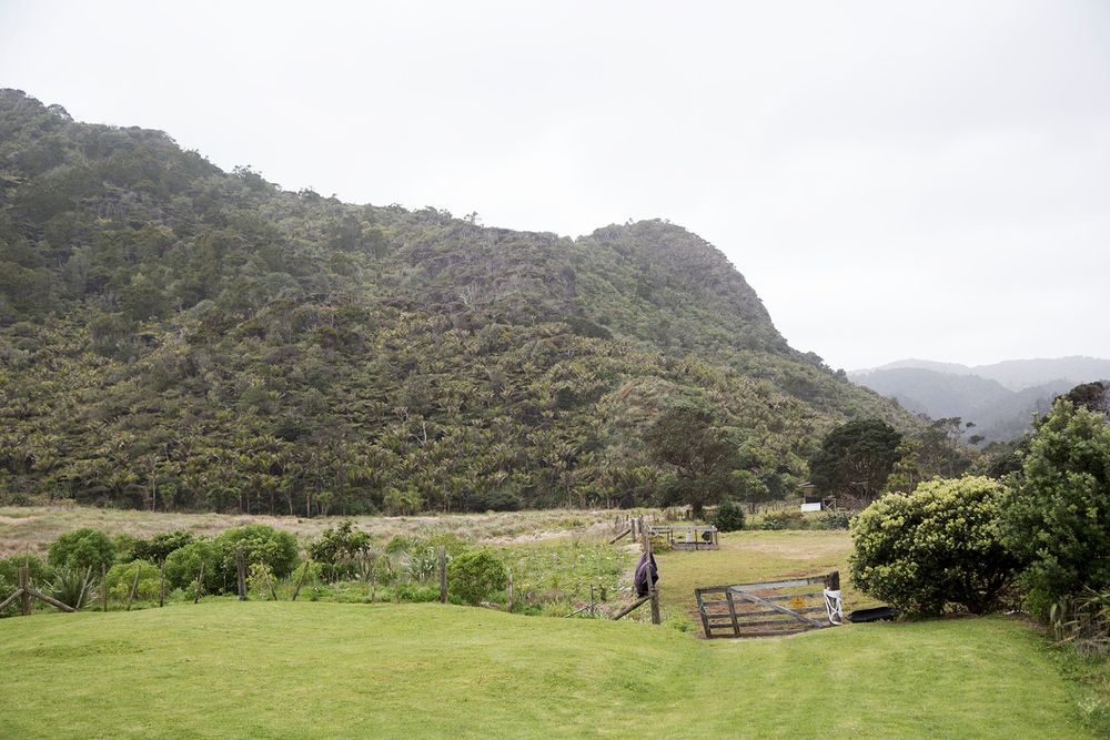 Waitakere day trip