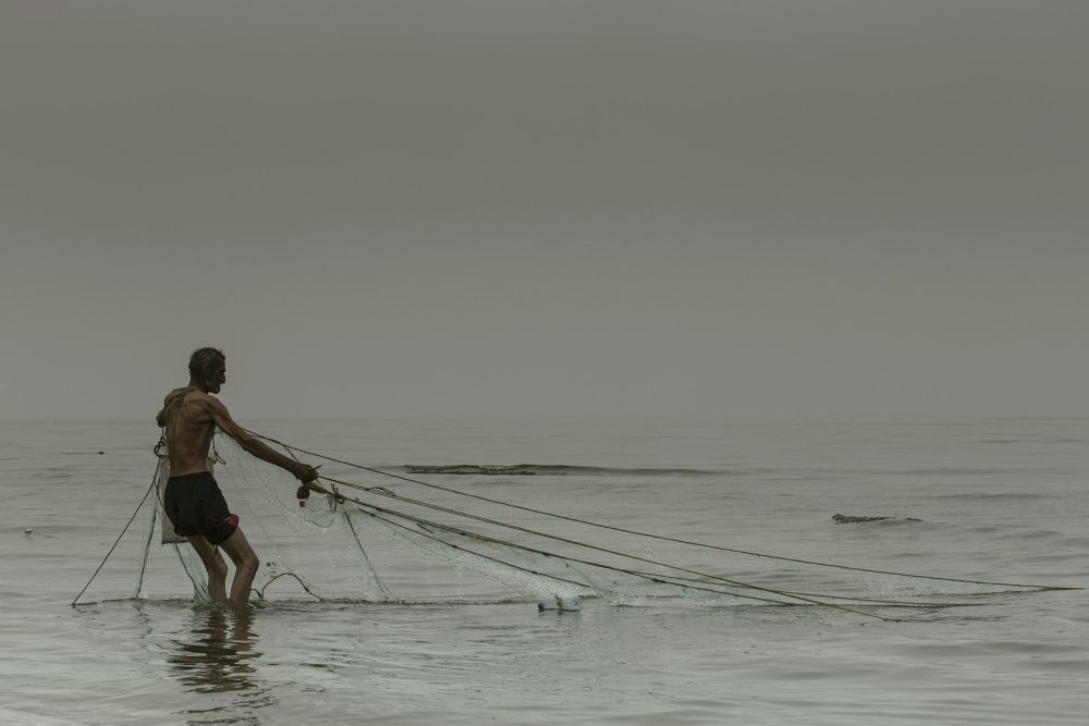 The bird and the fisherman. Caspian Sea, Iran.