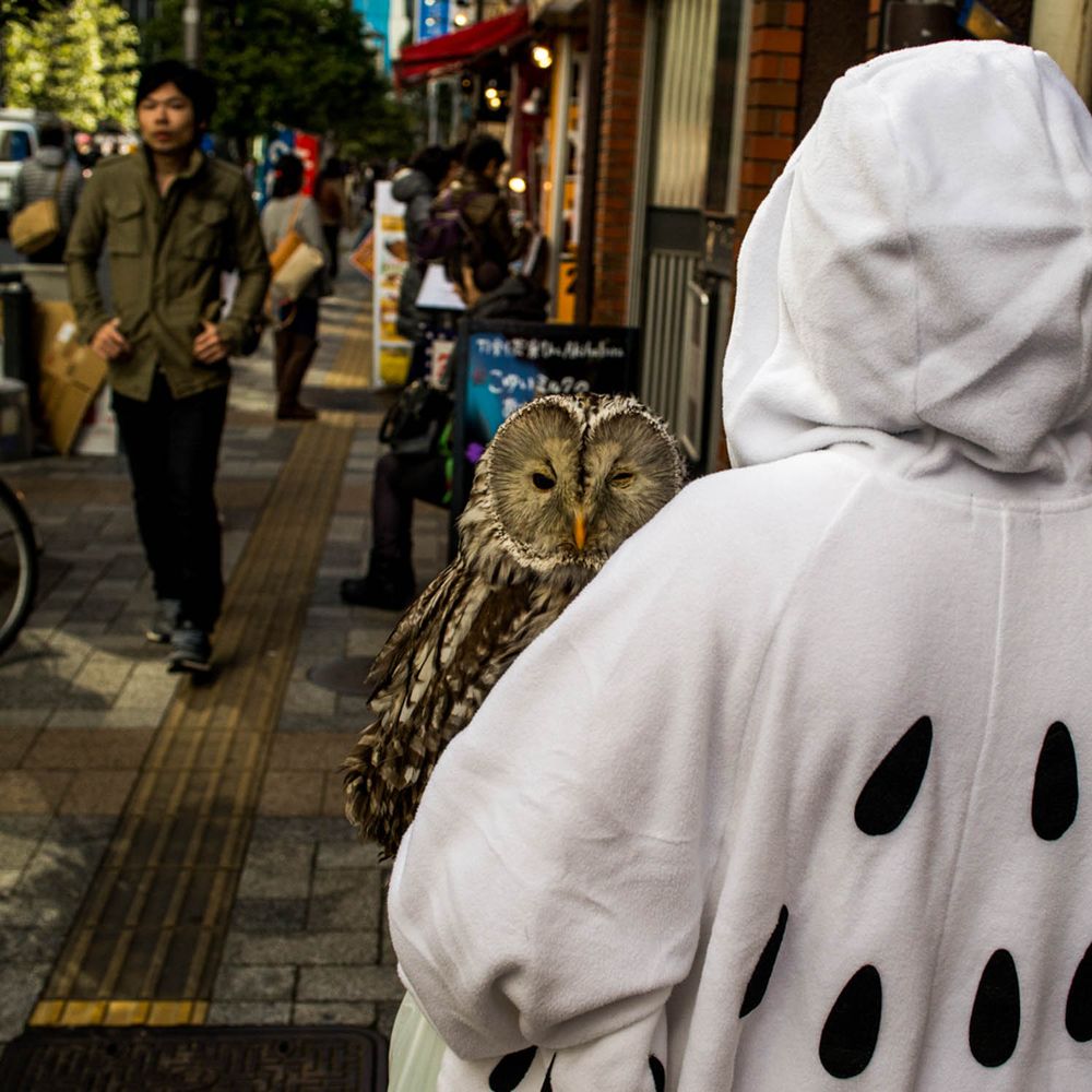 Some street scenes II