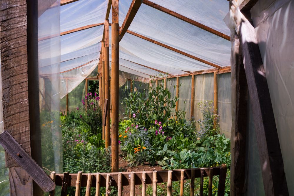 Somos Mapuche