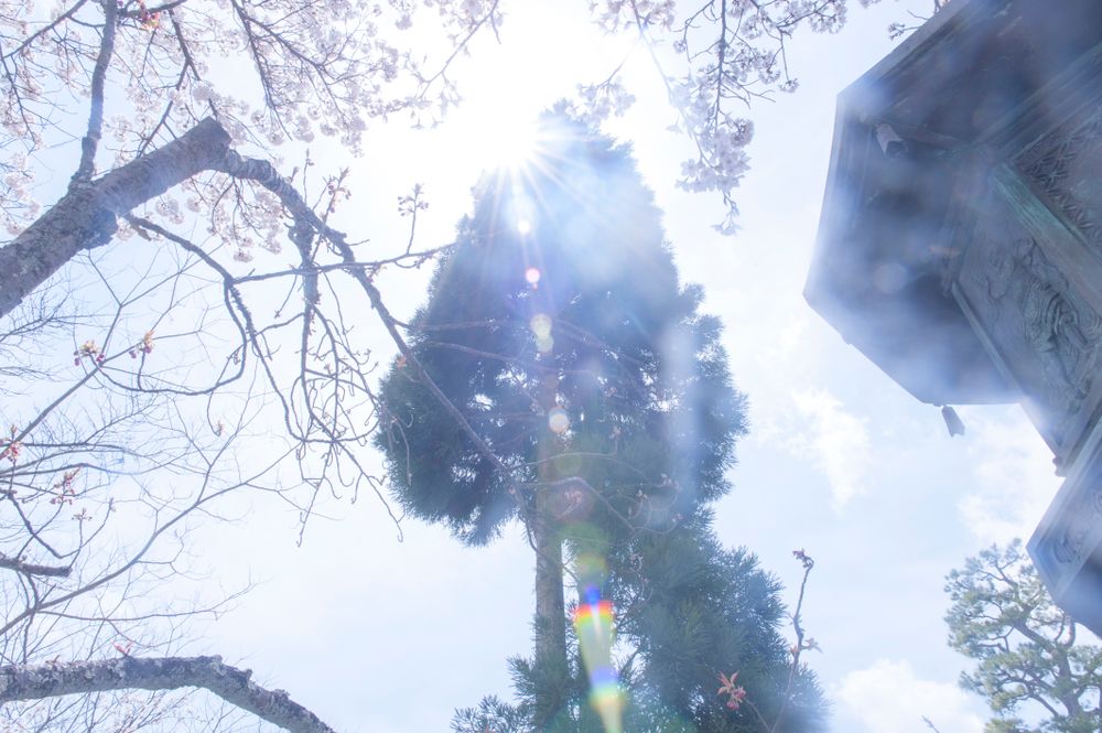 Light within