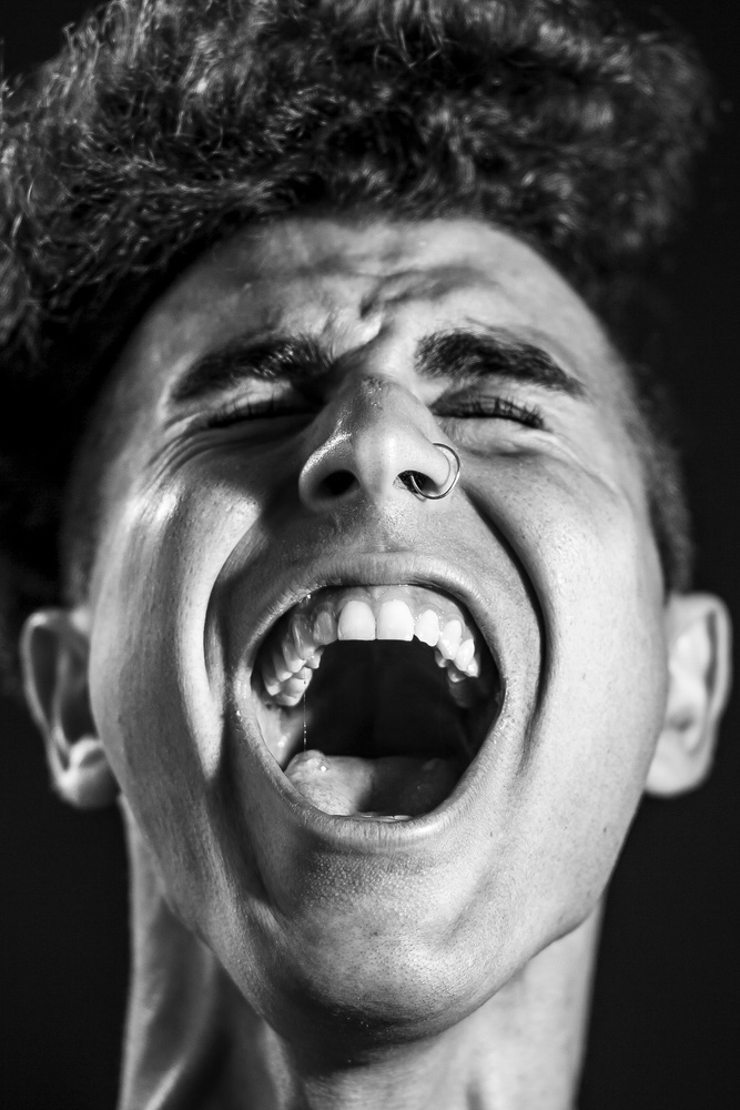 Silent Scream Project, 2016