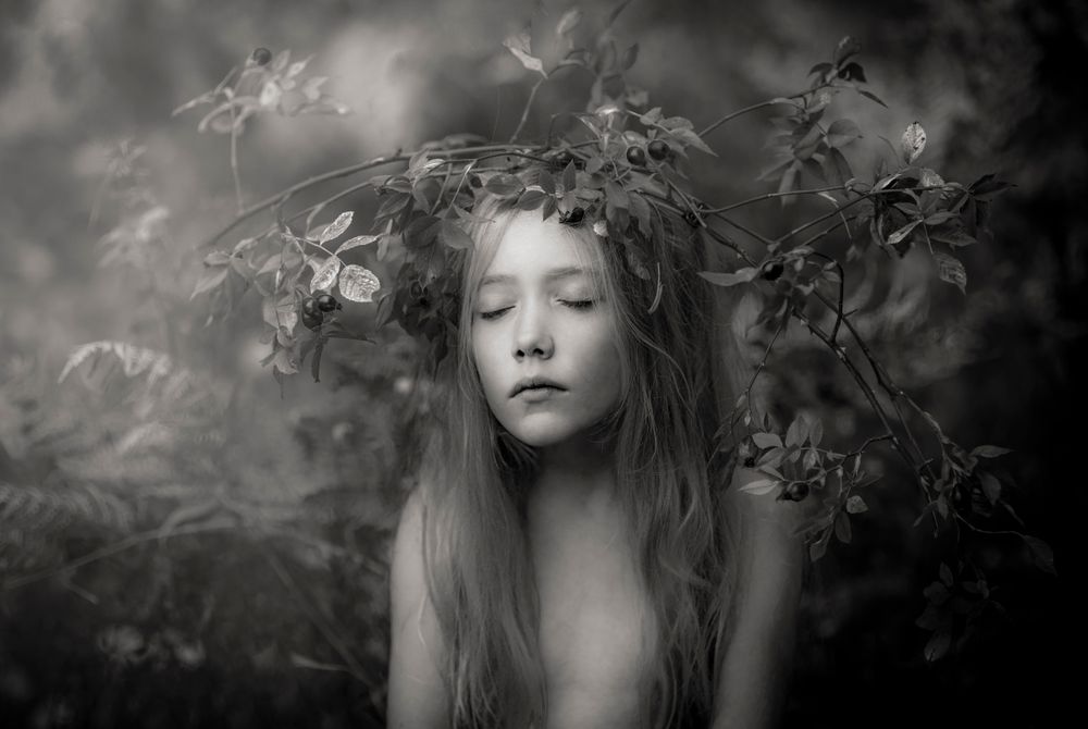 Honoured Photographys