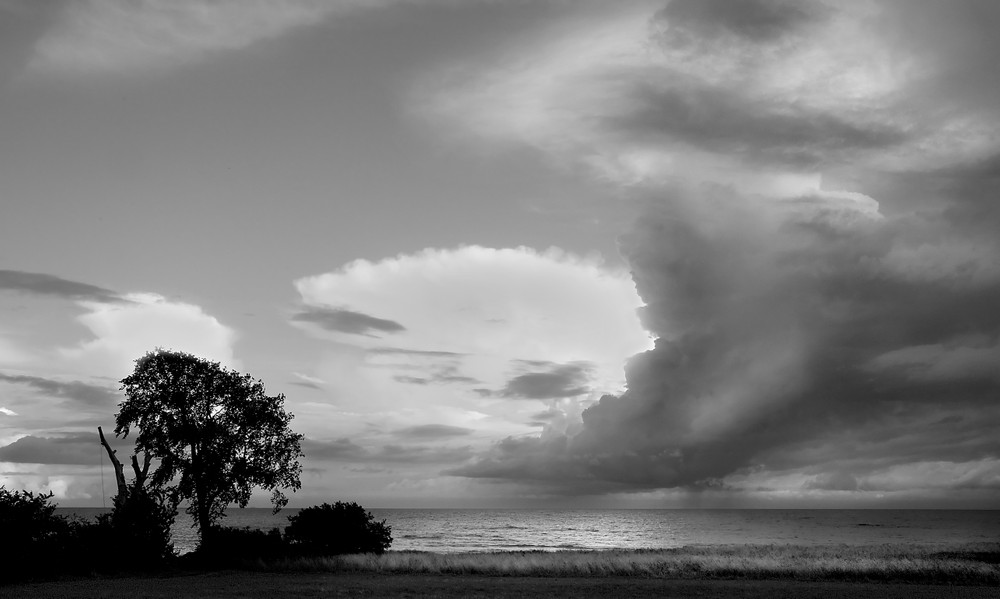 B&W Landscape