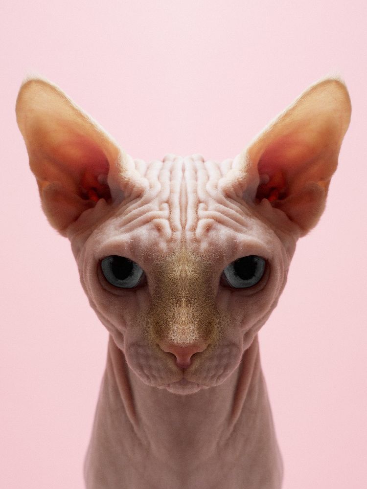 Symmetricat