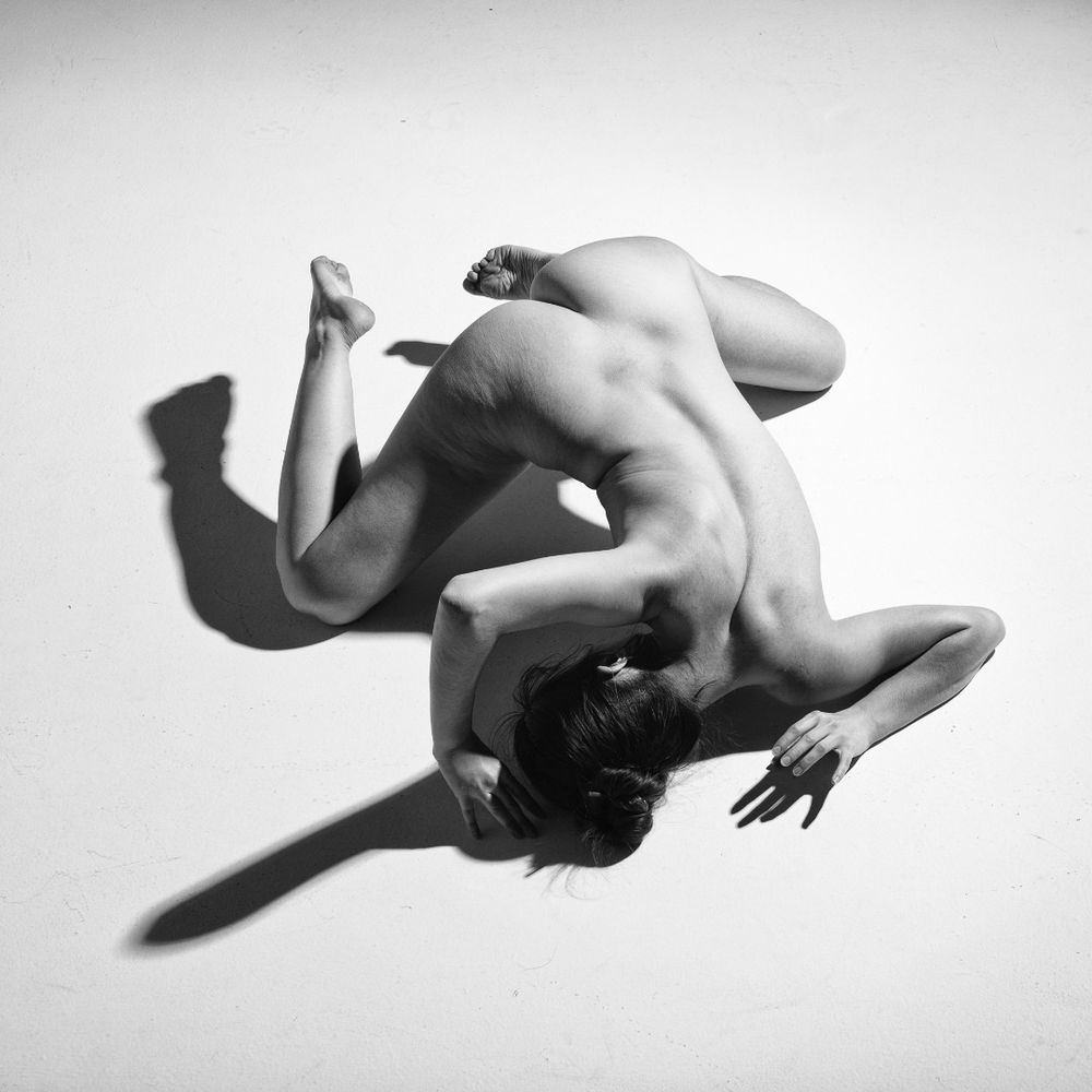 The Shadow Series