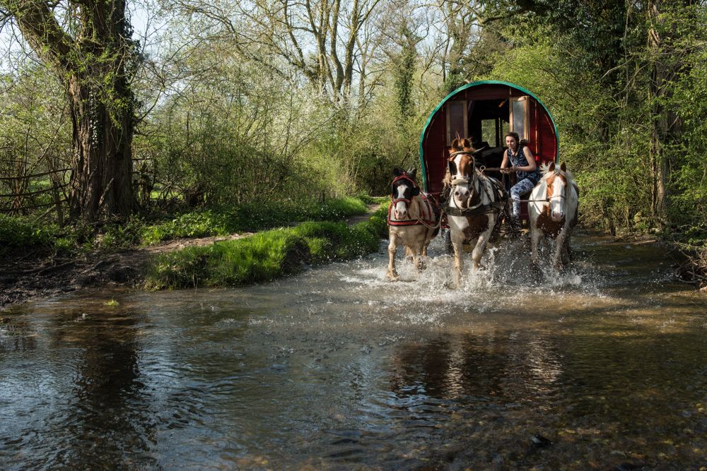 Alternative Horse Drawn Travellers
