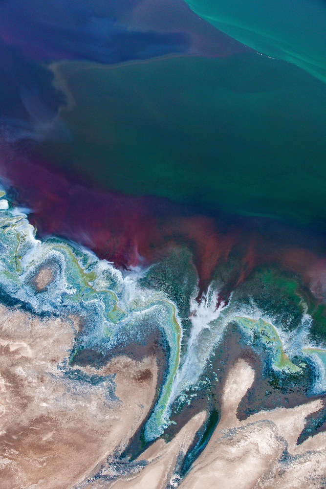 Palette Earth 