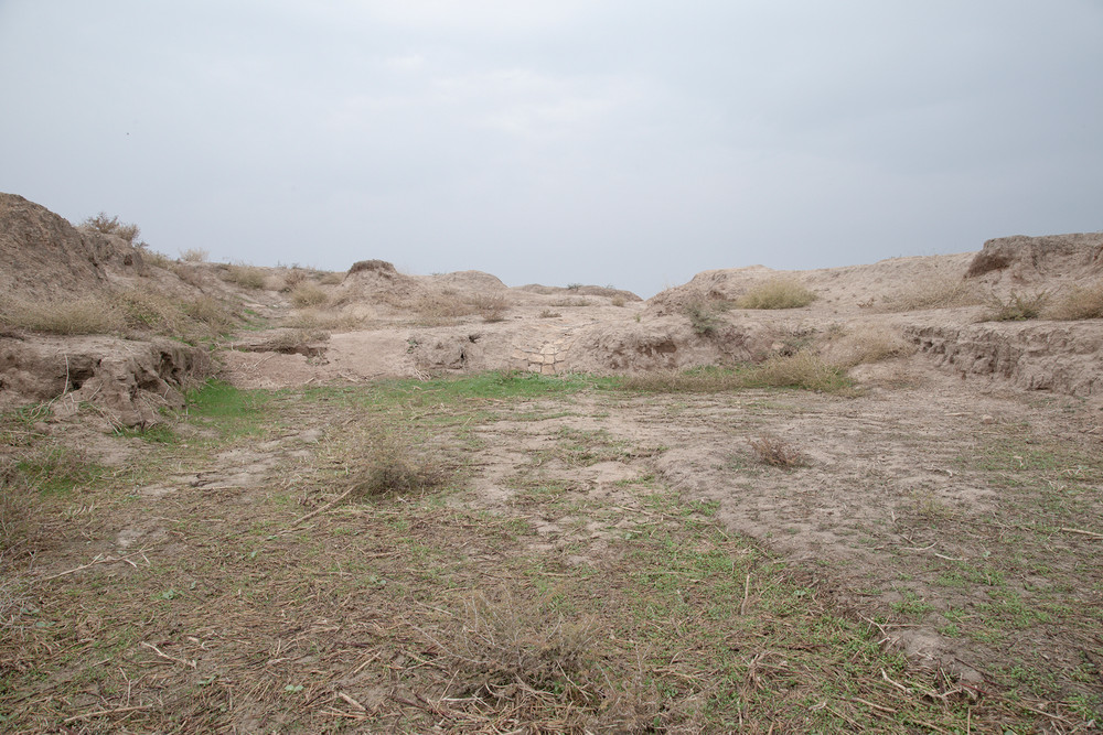 Hidden Land