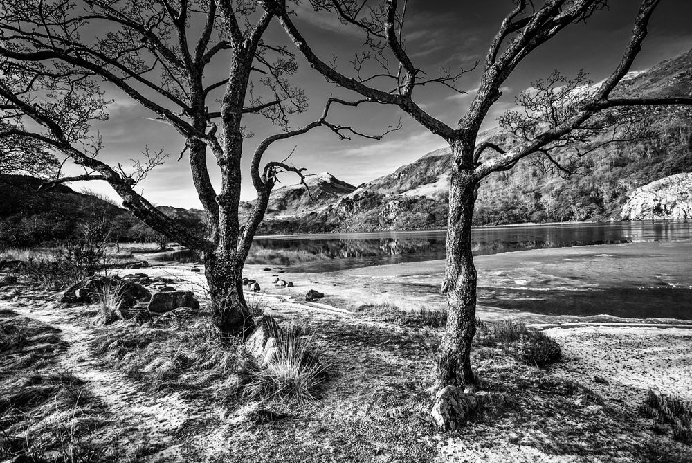 Moody Landscapes