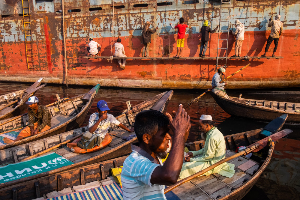 Dockside Duality: A Portrait of Coexistence
