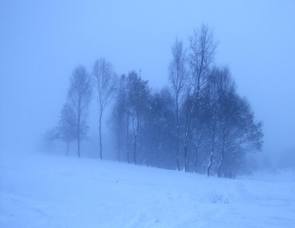 3 Days in December