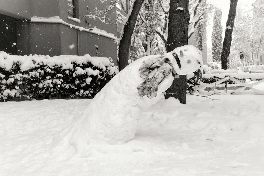 SNOWTALES ... STORIE DI NEVE