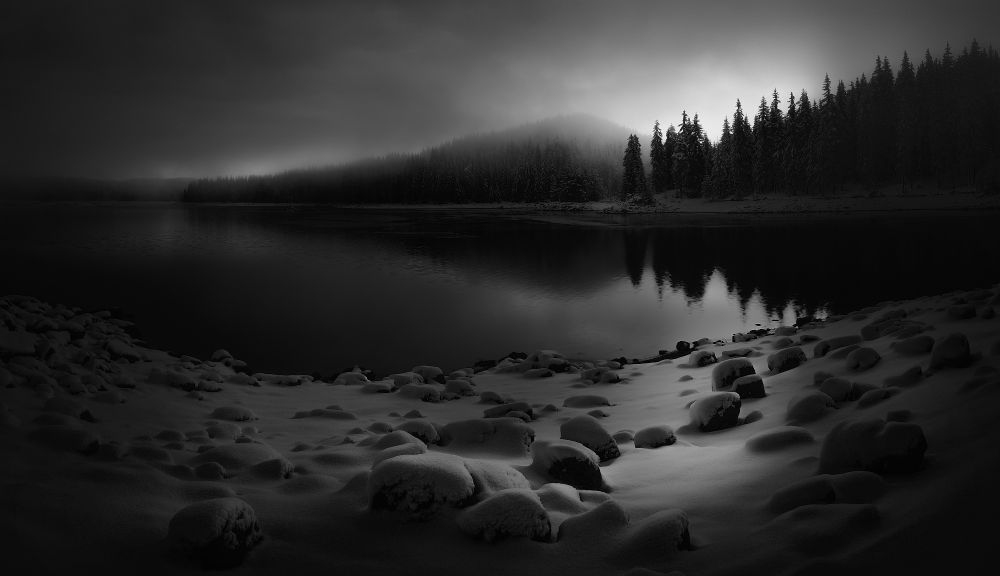 Our nature in black and white