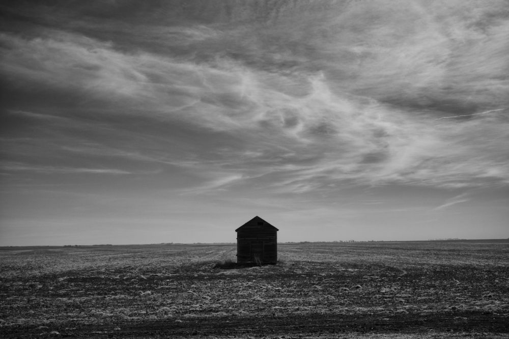 Thomas Bartlett Thomas Bartlett Submission LensCulture