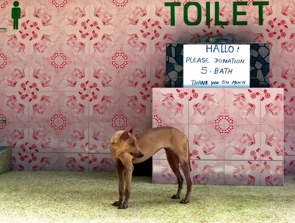 Toilet. Wat  Suwan Khuha (Temple of the cave of the sky)