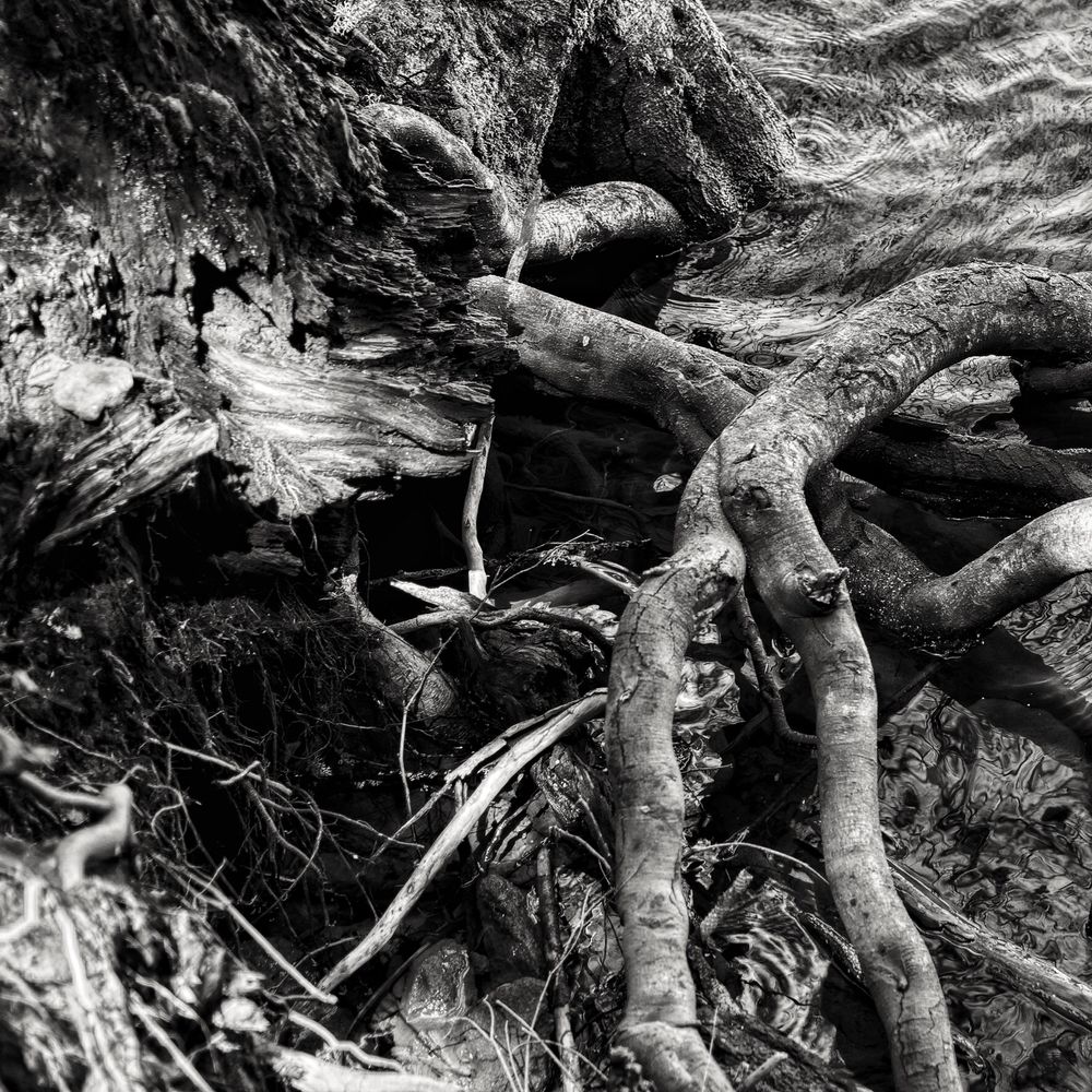 Debris