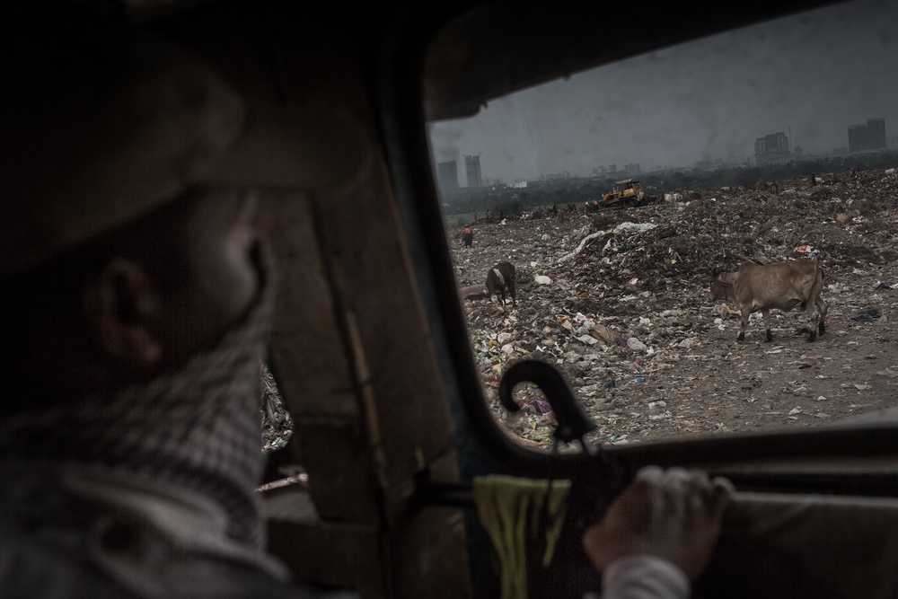 Life in Waste