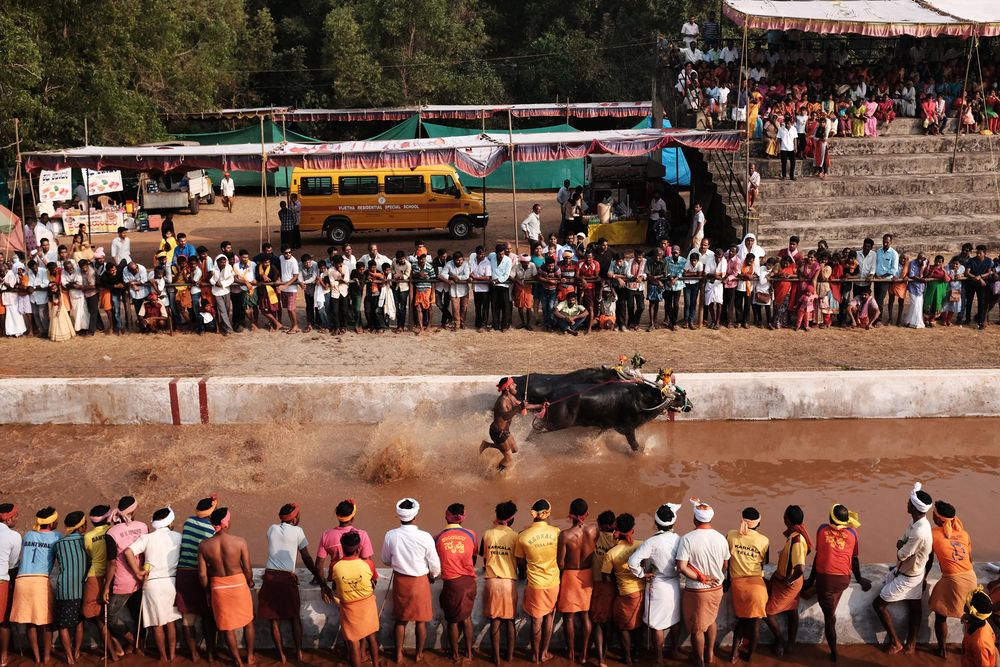 The race