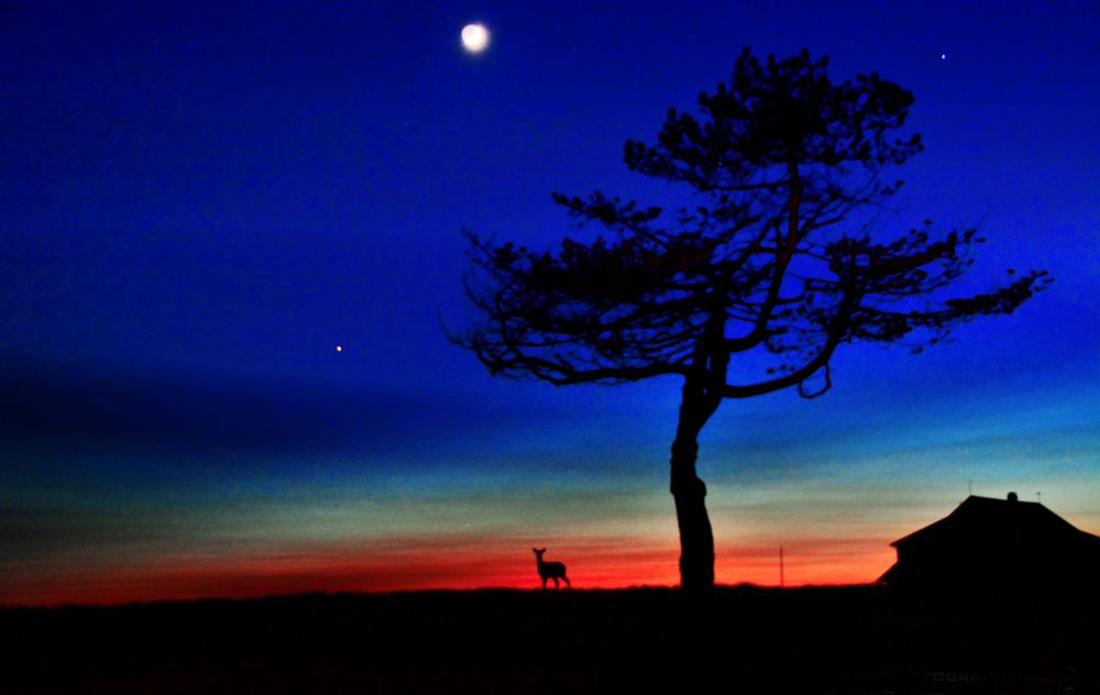 Scenics and people