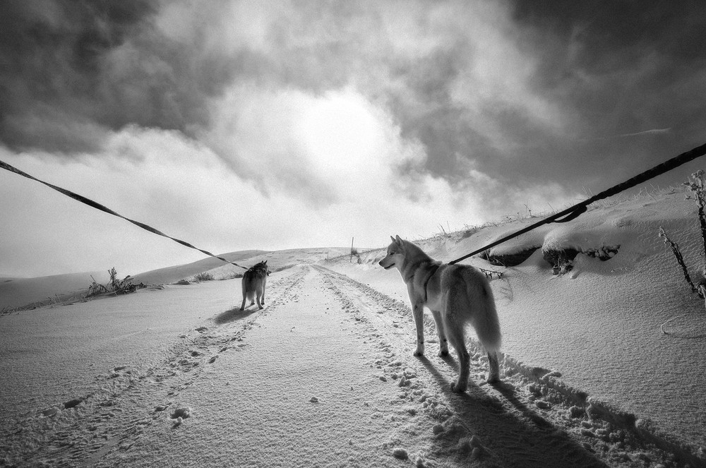 Born in winter