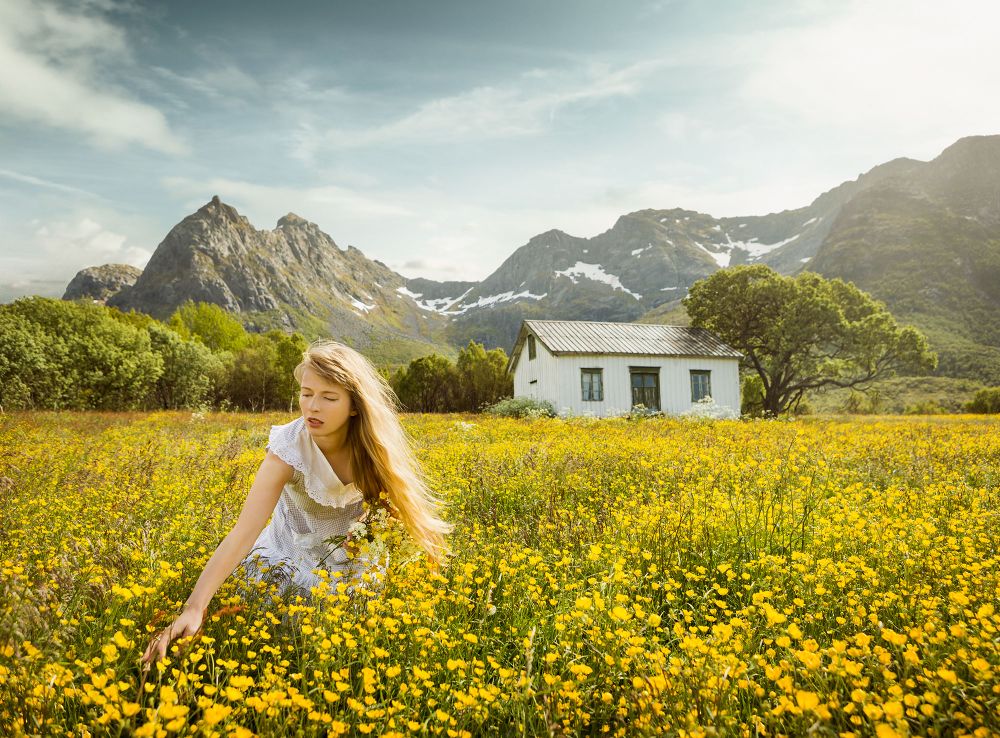 An Ode to Lofoten