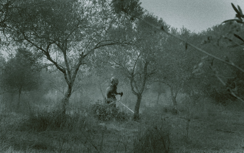 dark alentejo 