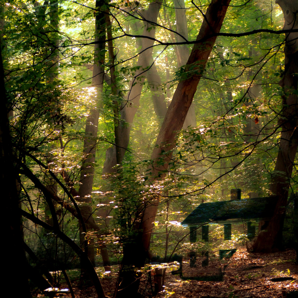 This Old House Travels