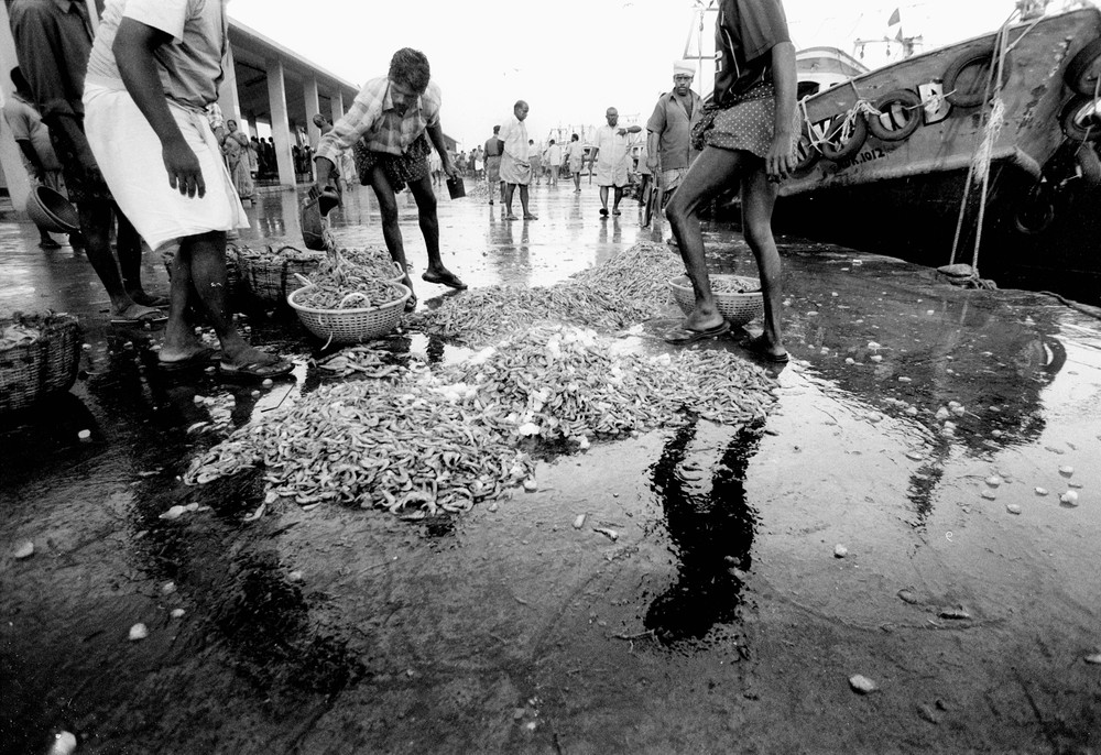 Kerala Fishermen