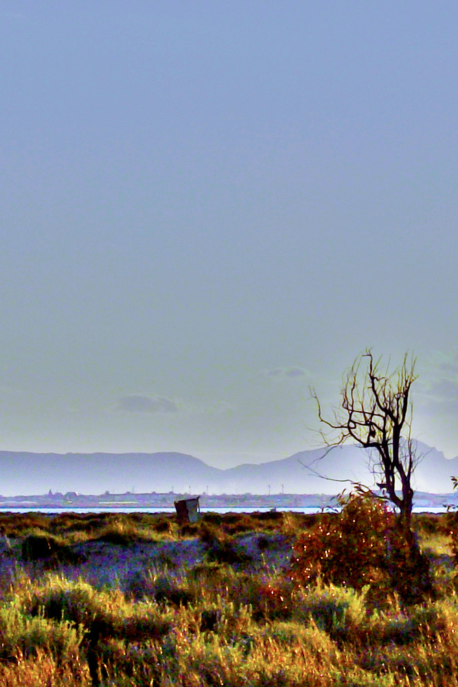 jardín litoral