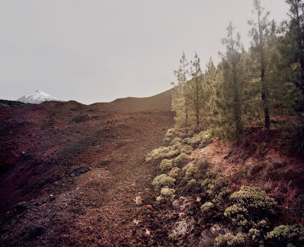In the Orbit of El Teide