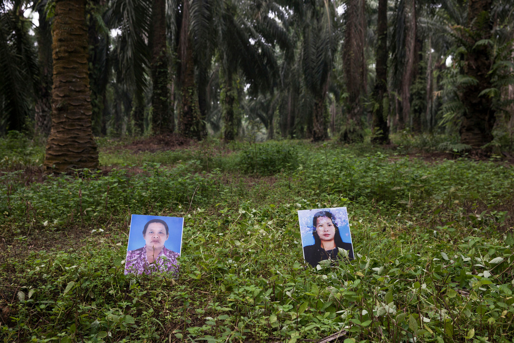 For Those Who Died Trying