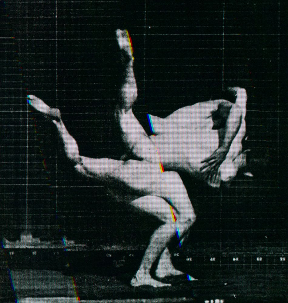 Eadweard Muybridge Motion Study Motion Studies
