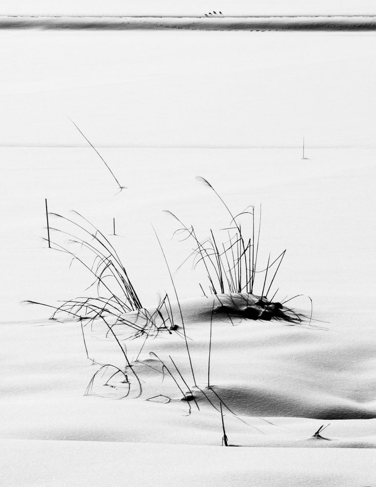 Snow Study: Hakuba 2017