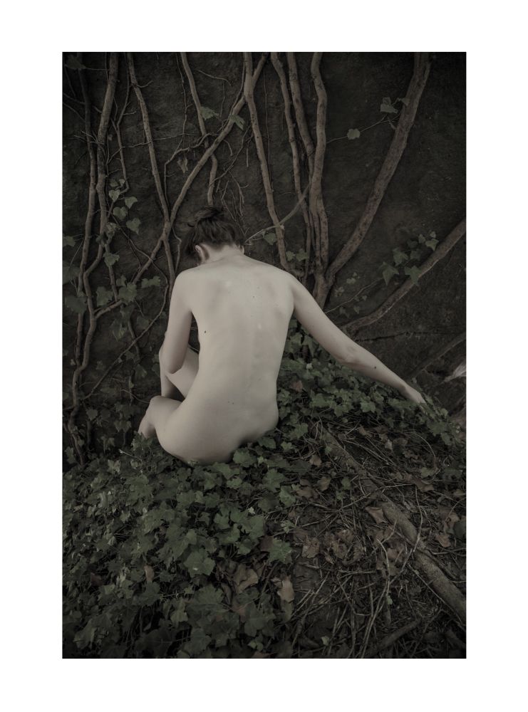 Leaves of grass