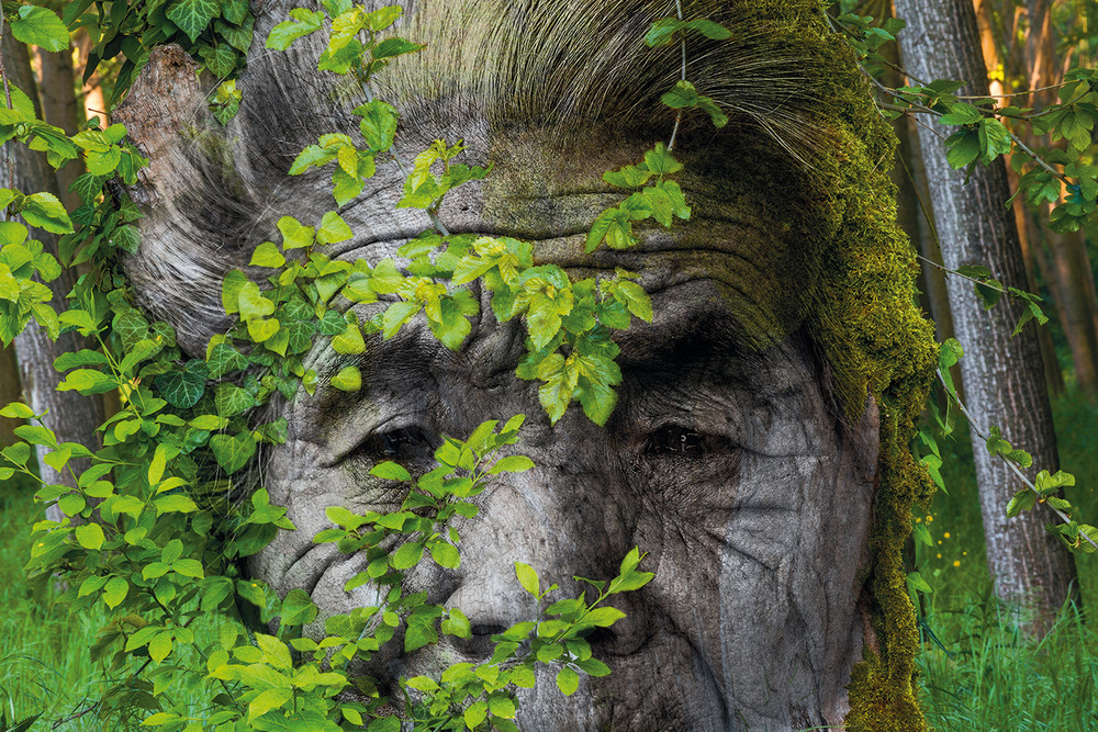 'La Vecchiaia - Old Age'