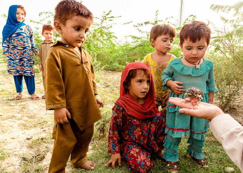 Internally Displaced People 