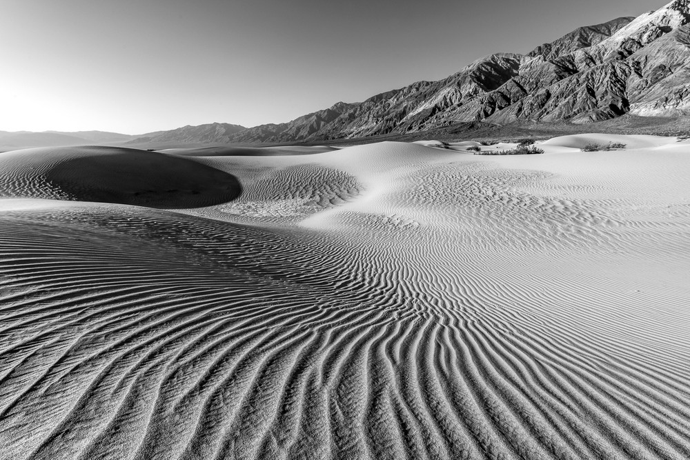 Saline Valley Dunes, Death Valley, Ca.