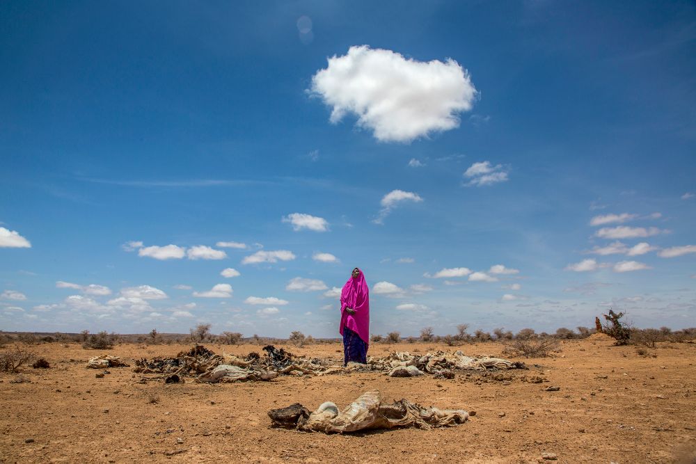 Through Dust and War: Somalia’s Women