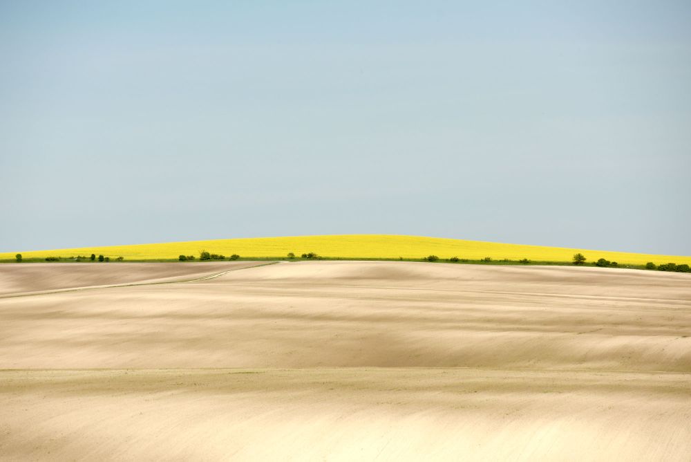 Terra Galicia