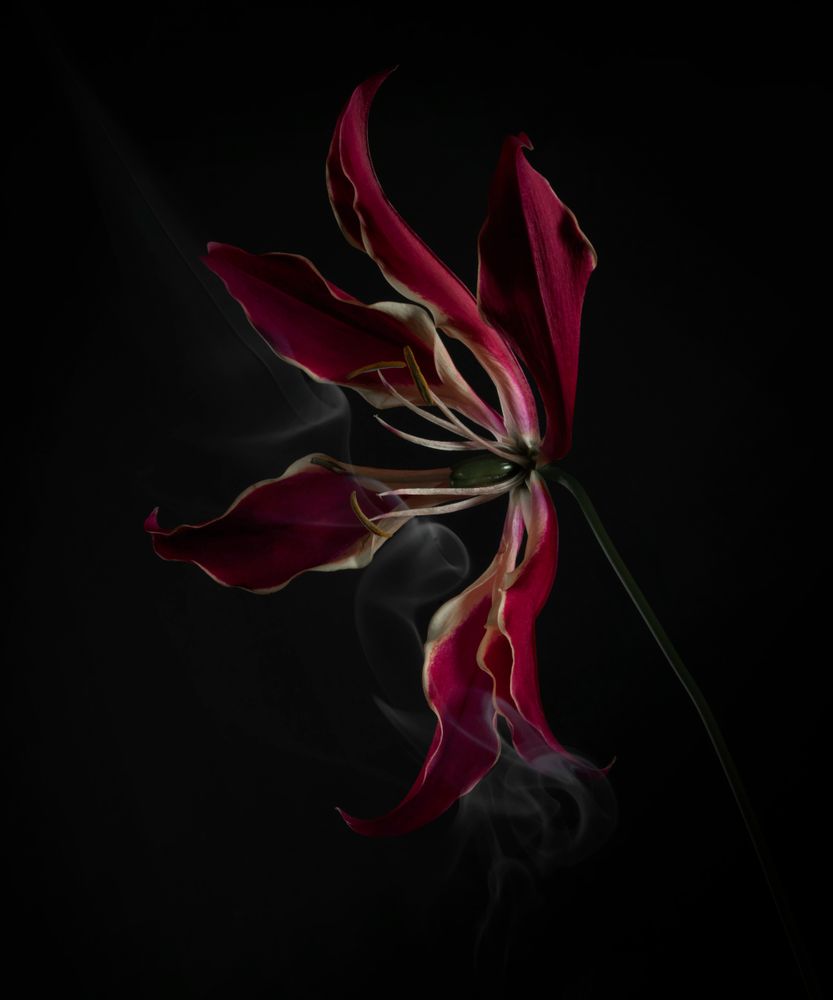 SmokeyFlowers