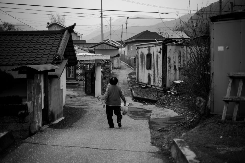 South Korea, winter 2016/2017
