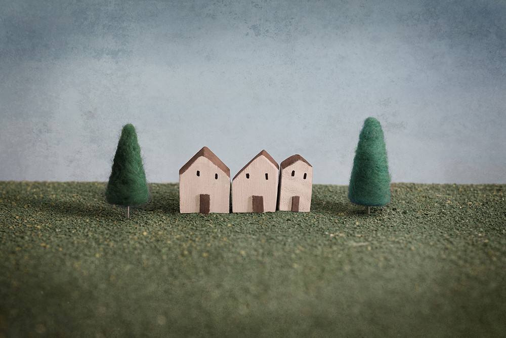 Micro Landscapes