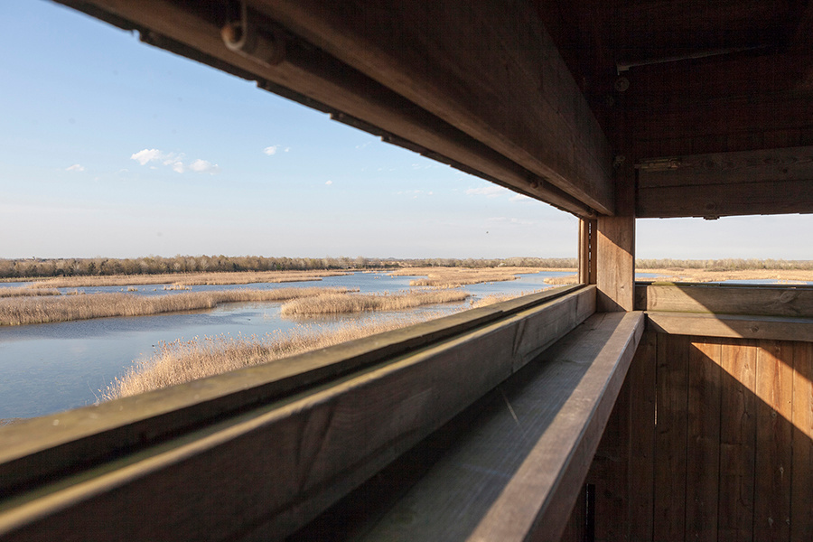 Images of Eastern Venice