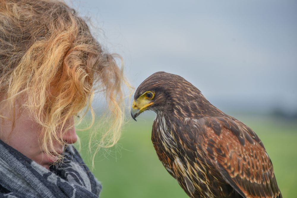 Nature and the human nature