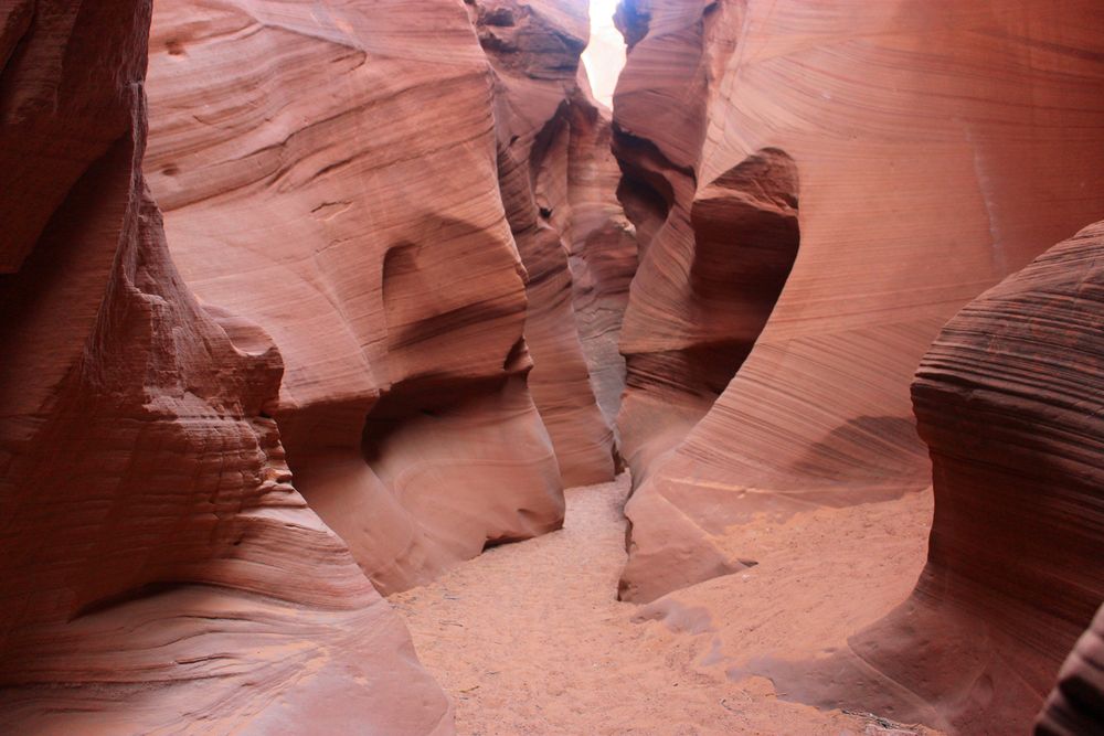 Trip to Arizona